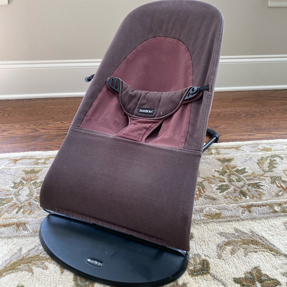 Baby Bjorn Bouncer